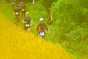 BIB: 
                            <button type="button" onclick="openModal(13455926)" class="btn btn-primary btn-sm float-right btn-popup" data-toggle="modal" data-target=".modal-high-quality">
                        <i class="fas fa-shopping-cart"></i> Add to Cart
                    </button>
                                            <button type="button" onclick="isThisMe(13455926, true)" class="btn btn-success btn-sm float-right btn-popup btn-isme hidden" data-toggle="tooltip" data-placement="bottom" title="นี่คือรูปของคุณใช่ไหม คลิกที่นี่เพื่อเอาเข้าอัลบั้ม">
                        <i class="fas fa-plus"></i> Add to album
                    </button>
                    <button type="button" onclick="isThisMe(13455926, false)" class="btn btn-warning btn-sm float-right btn-popup btn-isnotme hidden">
                        <i class="fas fa-ban"></i> Remove from album
                    </button>